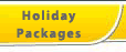 Famous Holiday Packages for India